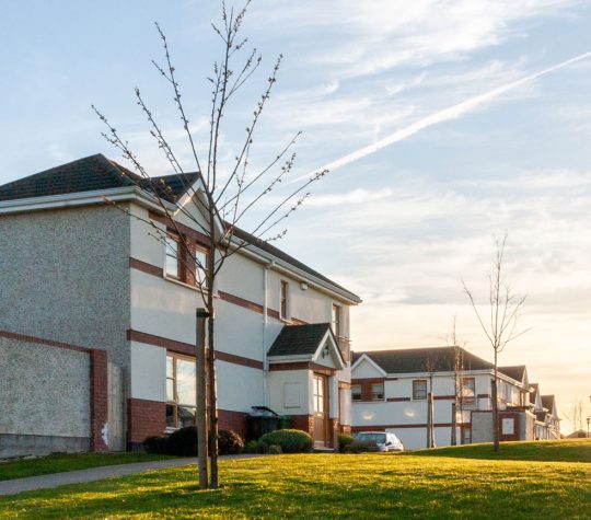 Vue de côté de maisons et de pelouses dans un quartier après le coucher du soleil