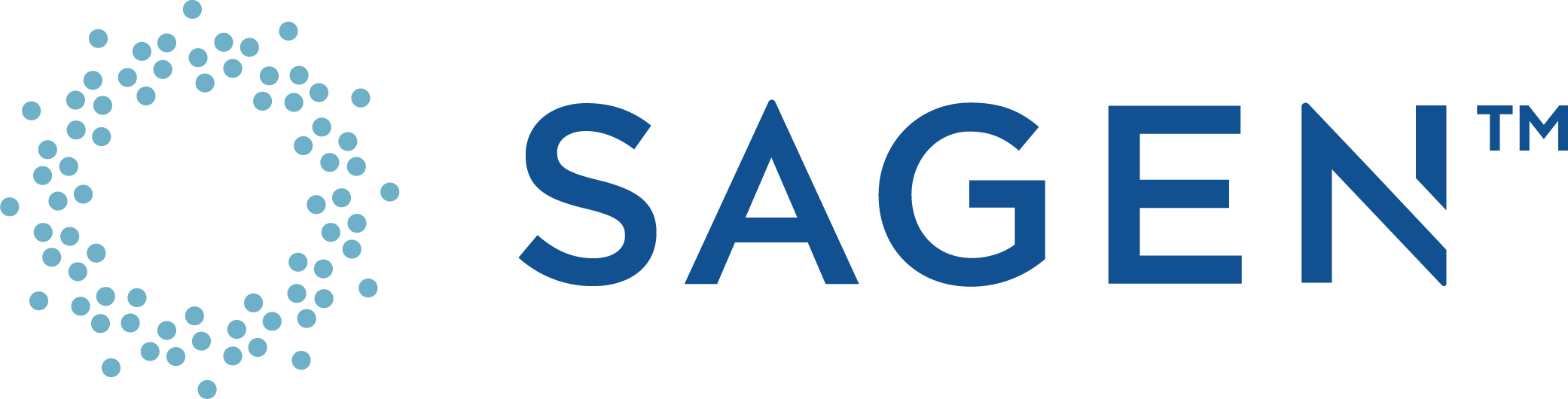 Sagen logo with name